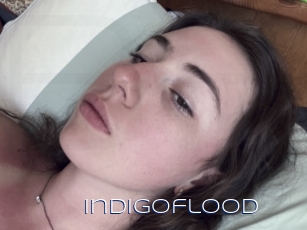 Indigoflood