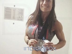 Indigofox