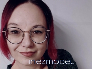 Inezmodel
