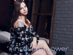 Insolentflower