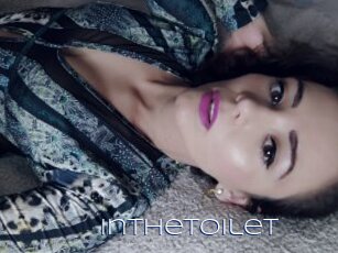 Inthetoilet