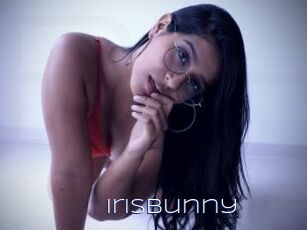 Irisbunny