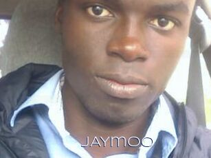 JAYmoo Blue Hot