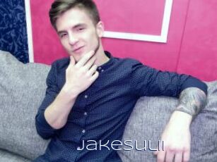 JakeSulii