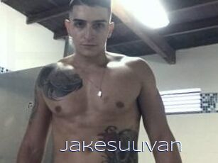 Jake_Sulivan