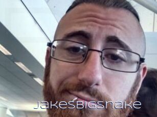 Jakesbigsnake