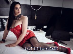 JaninHase