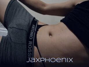 JaxPhoenix