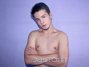 JayTorn Blue Hot