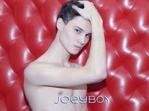JoeyB0Y