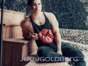 JoeyGoldberg