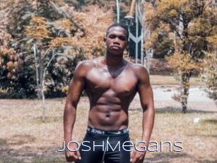 JoshMegans Blue Hot