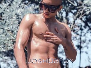 JoshuaFox