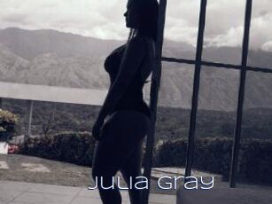 Julia_gray