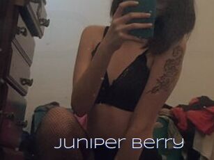Juniper_Berry