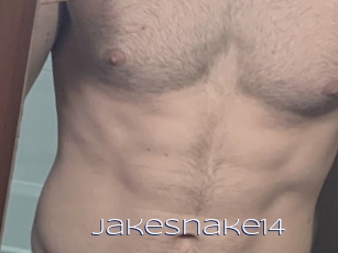 Jakesnake14