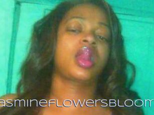 Jasmineflowersbloom