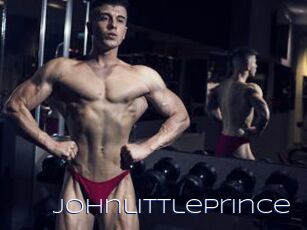 Johnlittleprince