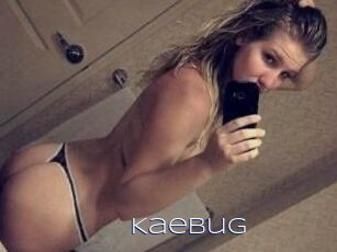 Kaebug