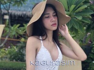KaguraSim
