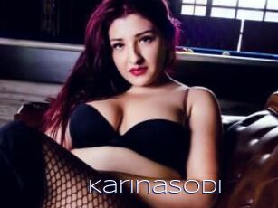 Karinasodi