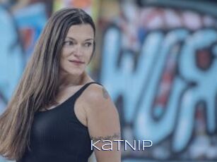 KatNip