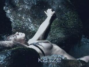 Katze