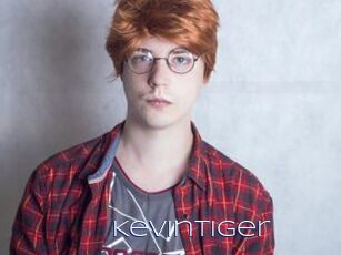 KevinTiger