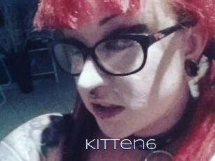 Kitten6