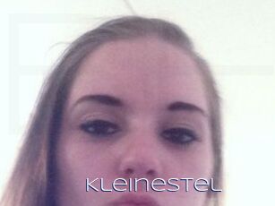 KleineStel
