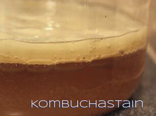 KombuchaStain