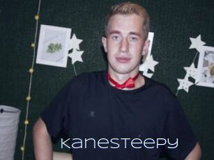 Kanesteepy