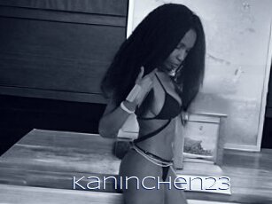 Kaninchen23