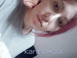 Karinakodi