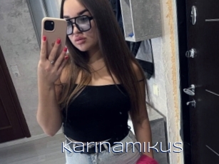 Karinamikus