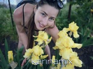 Karinamix
