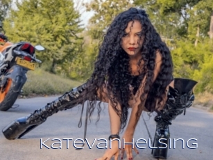 katevanhelsing Blue Hot