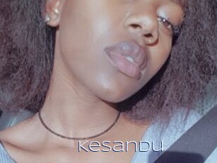 Kesandu