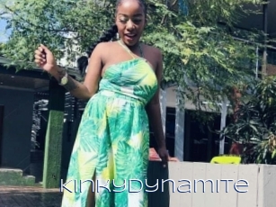 Kinkydynamite