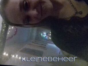 Kleinebeheer