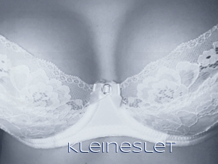 Kleineslet