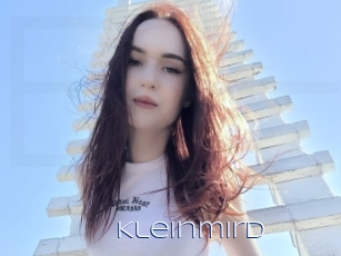 Kleinmird