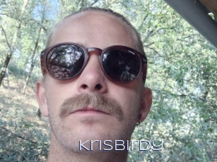 Krisbirdy