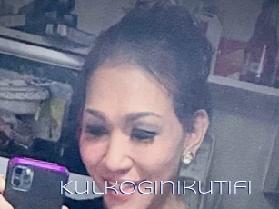 Kulkoginikutifi
