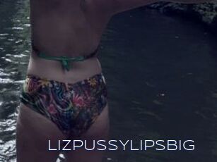 LIZPUSSYLIPSBIG