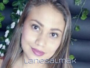 LaneSalmak