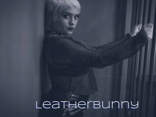 LeatherBunny