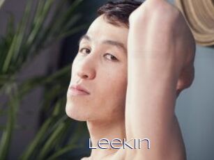 LeeKin