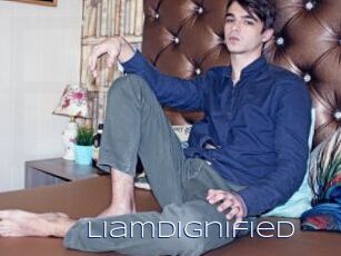 LiamDignified