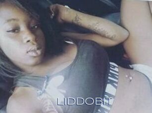 LiddoBit